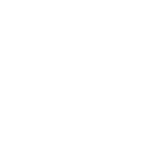 Hair Scissors